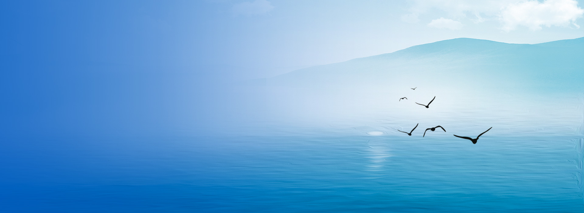 437必赢会员中心·(中国)官方网站